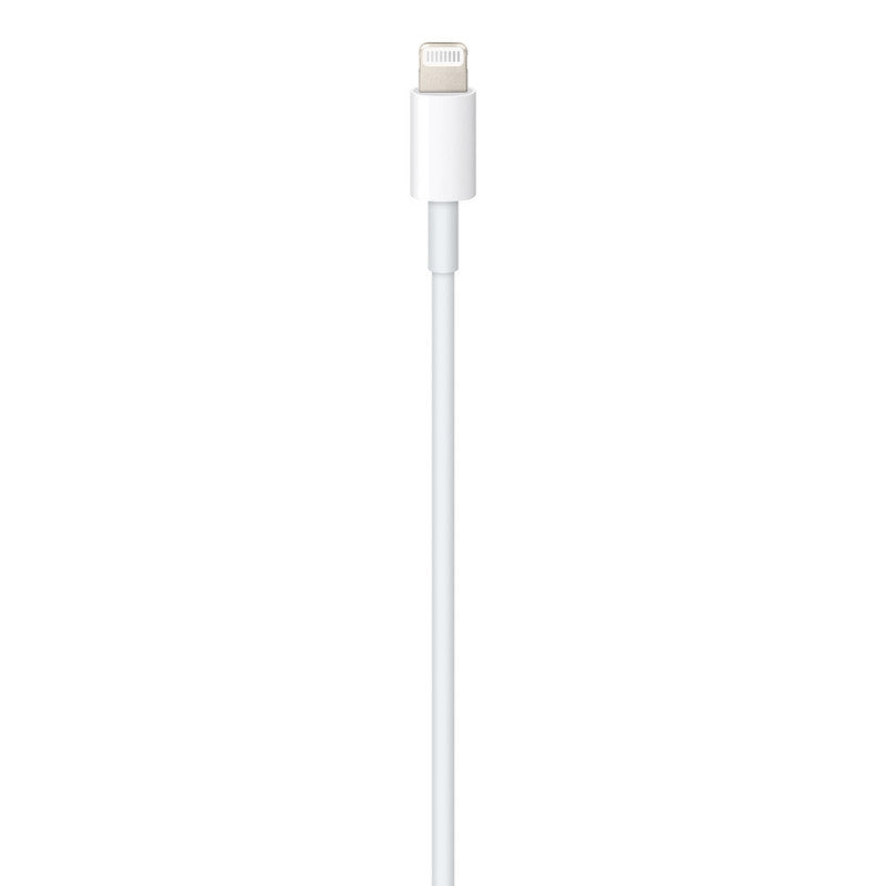 Apple Câble USB Type-C à Lightning - 1m - BASIC INFORMATIQUE